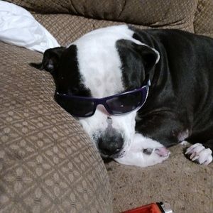 Meet your Posher, Matthew